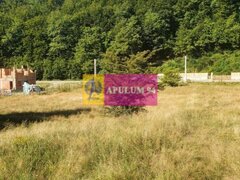 Teren Judetul Valcea - Brezoi, Valea lui Stan