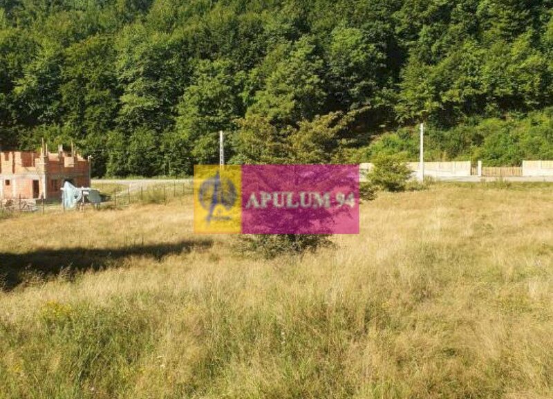 Teren Judetul Valcea - Brezoi, Valea lui Stan
