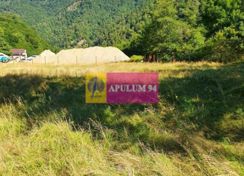 Teren Judetul Valcea - Brezoi, Valea lui Stan