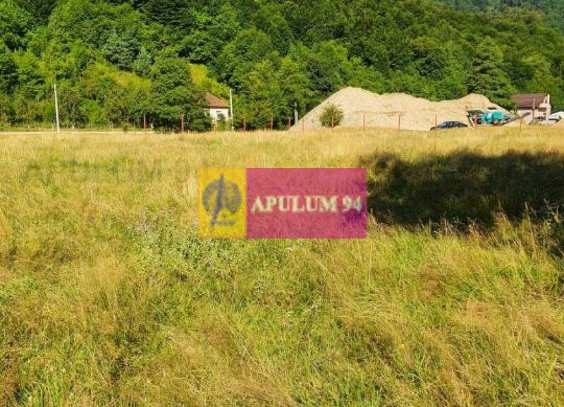 Teren Judetul Valcea - Brezoi, Valea lui Stan