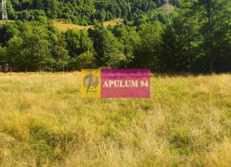 Teren Judetul Valcea - Brezoi, Valea lui Stan