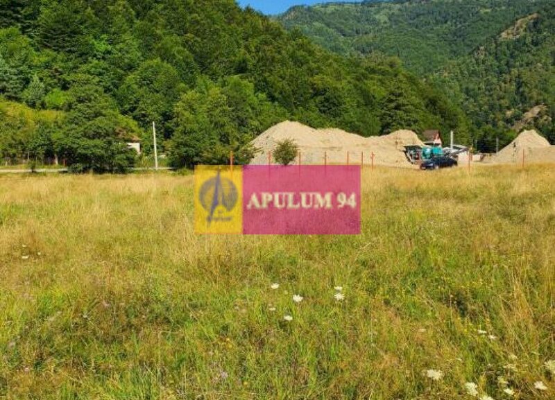 Teren Judetul Valcea - Brezoi, Valea lui Stan