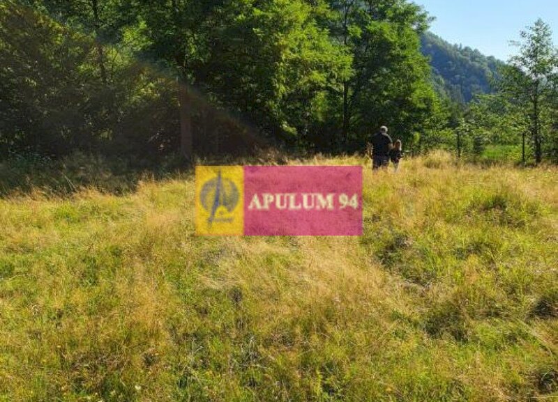 Teren Judetul Valcea - Brezoi, Valea lui Stan