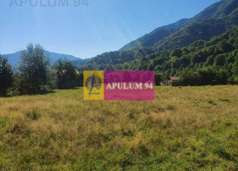Teren Judetul Valcea - Brezoi, Valea lui Stan