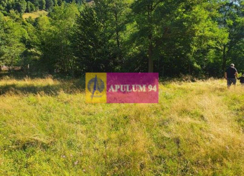 Teren Judetul Valcea - Brezoi, Valea lui Stan