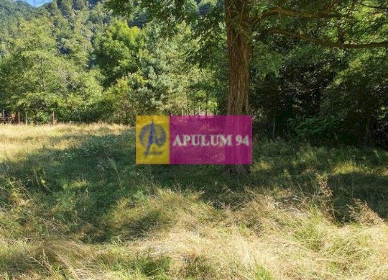 Teren Judetul Valcea - Brezoi, Valea lui Stan