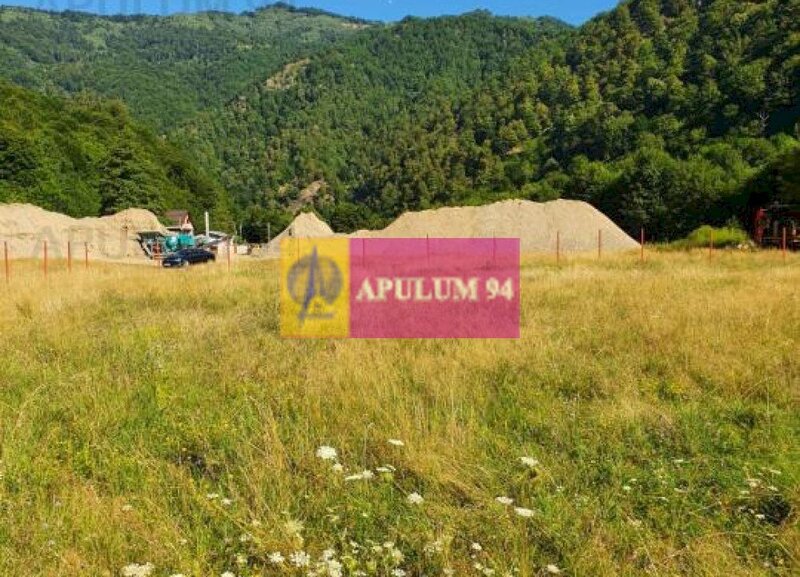 Teren Judetul Valcea - Brezoi, Valea lui Stan