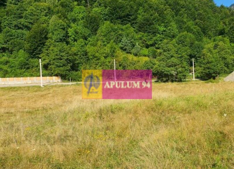 Teren Judetul Valcea - Brezoi, Valea lui Stan