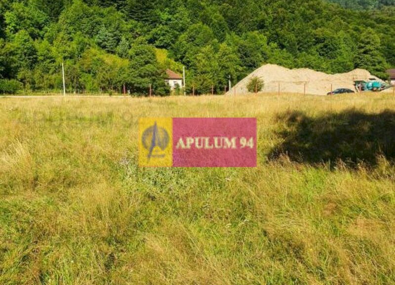 Teren Judetul Valcea - Brezoi, Valea lui Stan