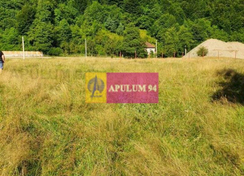 Teren Judetul Valcea - Brezoi, Valea lui Stan