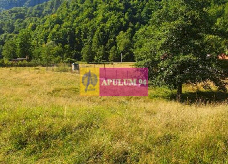 Teren Judetul Valcea - Brezoi, Valea lui Stan