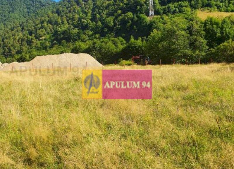 Teren Judetul Valcea - Brezoi, Valea lui Stan