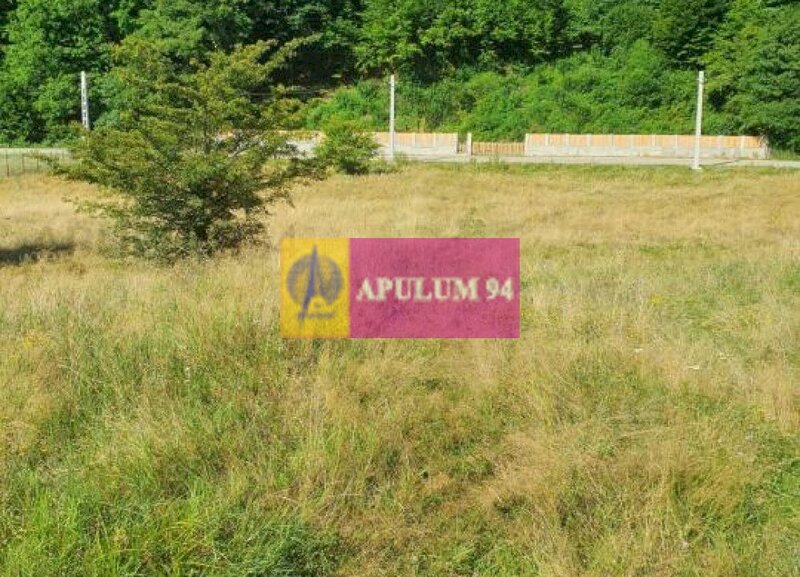 Teren Judetul Valcea - Brezoi, Valea lui Stan