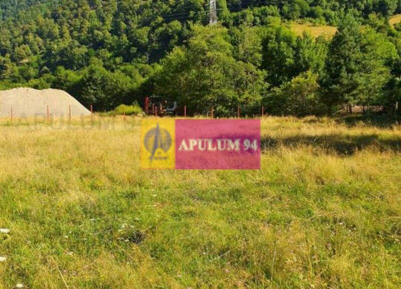 Teren Judetul Valcea - Brezoi, Valea lui Stan