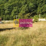 Teren Judetul Valcea - Brezoi, Valea lui Stan